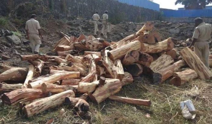 15 Timber mafia crackdown intensifies in attock district