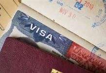 Belarus issues more than 2,000 e-visas over year Belarus issues more than 2,000 e-visas over year