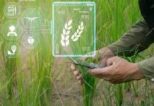China, Pakistan to establish joint lab on smart & digital agriculture China, Pakistan to establish joint lab on smart & digital agriculture