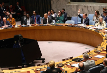 Pakistan backs Bahrain, Russia draft resolutions at UNSC, urges de-escalation