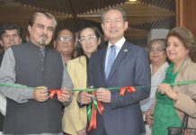 Vibrant exhibition celebrates Japan-Pakistan cultural bonds Vibrant exhibition celebrates Japan-Pakistan cultural bonds