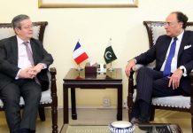 France to continue supporting Pakistan, says envoy