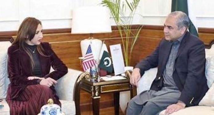 0 Naqvi, US Envoy Hold Talks on Regional Stability and Islamabad Dialogue Security