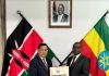 New Horizons: Potential of Kyrgyzstan-Africa partnership New Horizons: Potential of Kyrgyzstan-Africa partnership