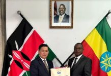 New Horizons: Potential of Kyrgyzstan-Africa partnership New Horizons: Potential of Kyrgyzstan-Africa partnership