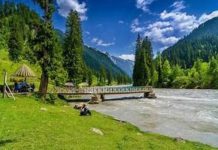Secretary Tourism KP reviews facilities, plantation drive during detailed visit to Galiyat Secretary Tourism KP reviews facilities, plantation drive during detailed visit to Galiyat