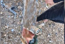 US Air Force loses ‘seven aircraft’ in Iran war; projectile hits near Bushehr nuclear plant US Air Force loses 'seven aircraft' in Iran war; projectile hits near Bushehr nuclear plant