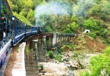 Tourists excited as ‘Electric Safari Train’ nears launch in ‘Changa Manga Forest’ Tourists excited as ‘Electric Safari Train’ nears launch in 'Changa Manga Forest'