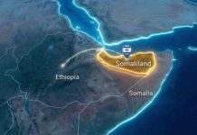 Twelve Nations condemn Israel’s Somaliland diplomatic appointment move