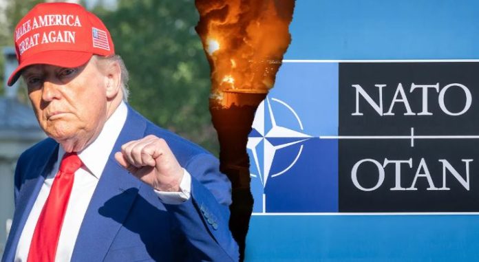 43 Trump slams NATO as ‘useless alliance’