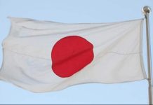 Japan records 80cm tsunami after powerful quake: JMA Japan records 80cm tsunami after powerful quake: JMA