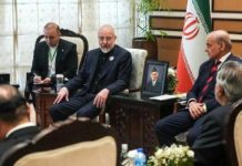 US understood Iran’s logic but failed to build trust: delegation head US understood Iran's logic but failed to build trust: delegation head