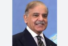 PM congratulates Hungary’s Peter Magyar on electoral win