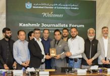 ICCI President invites diaspora to invest in Pakistan and AJK for mutual growth ICCI President invites diaspora to invest in Pakistan and AJK for mutual growth