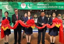 Ambassador Hashmi inaugurates Pakistan National Pavilion in Shouguang Ambassador Hashmi inaugurates Pakistan National Pavilion in Shouguang