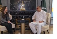 In meeting with US envoy, Naqvi discusses diplomatic efforts for second round of talks