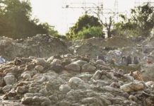 Punjab announces Rs50,000 fine for illegal offal disposal during Eid ul Adha Punjab announces Rs50,000 fine for illegal offal disposal during Eid ul Adha