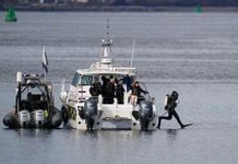 Finnish divers recover two Italian bodies