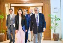 US envoy, Dar discuss evolving regional situation US envoy, Dar discuss evolving regional situation