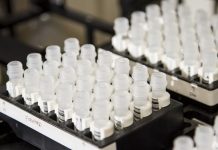 CJC-1295 DAC: Expanding Role in Molecular Research Systems