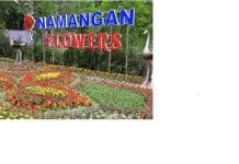 Nearly 1 million foreign tourists from more than 50 countries are expected to visit the 65th International Flower Festival