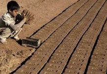 Tarar Reaffirms Pakistan’s Commitment to End Child Labour Tarar Reaffirms Pakistan’s Commitment to End Child Labour