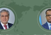Dar urges swift release of Pakistani hostages in call with Somali FM Dar urges swift release of Pakistani hostages in call with Somali FM