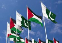 Palestine thanks Pakistan for regional peace efforts Palestine thanks Pakistan for regional peace efforts