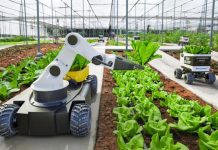 Uzbekistan’s new agricultural system empowers farmers through market reforms, digital innovation Uzbekistan’s new agricultural system empowers farmers through market reforms, digital innovation