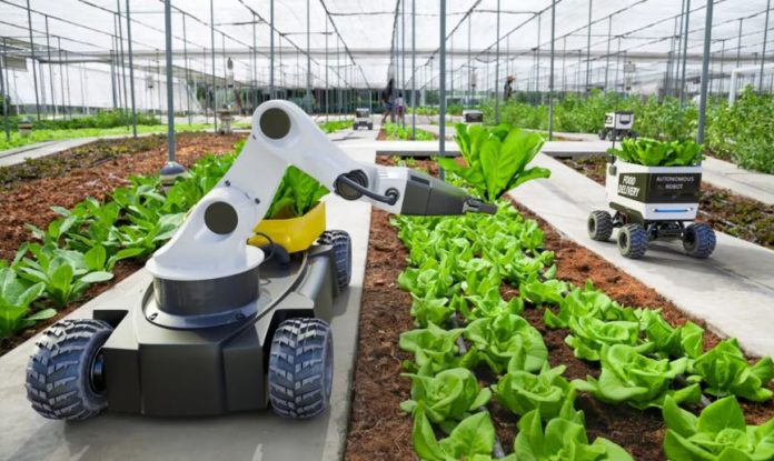 17 Uzbekistan’s new agricultural system empowers farmers through market reforms, digital innovation