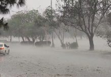 Dust-thunderstorm, rain predicted Dust-thunderstorm, rain predicted