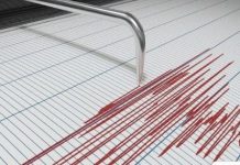 Kohlu rattled by third earthquake in two days Kohlu rattled by third earthquake in two days