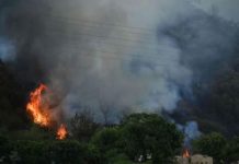 Fire erupts along Margalla Avenue green belt Near Sector C-15 Fire erupts along Margalla Avenue green belt Near Sector C-15