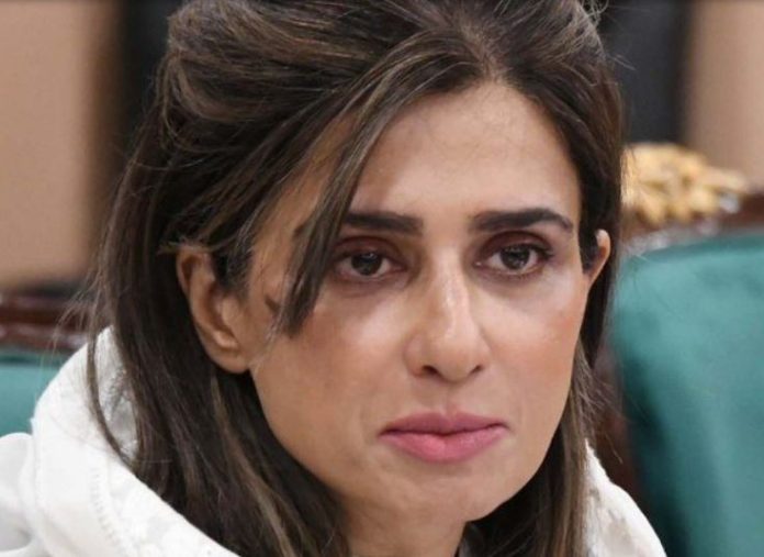52 NA Committee reviews migration, diplomatic affairs