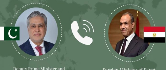 53 DPM, Egyptian FM discuss regional developments