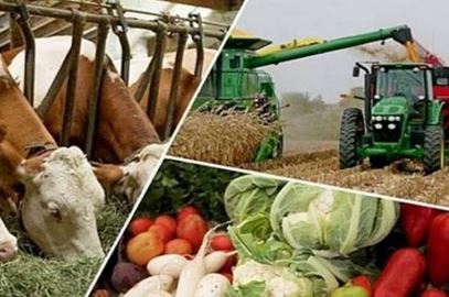 DNA 22-1 The updated agricultural system in New Uzbekistan serves the interests of farmers