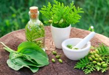 Two-Day Int’l exhibition, seminar on herbal medicines concludes