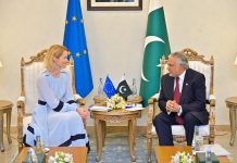 EU foreign policy chief lauds Pak role in regional stability