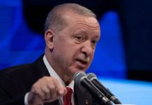 Erdogan says Israel must not scupper US-Iran deal Erdogan says Israel must not scupper US-Iran deal