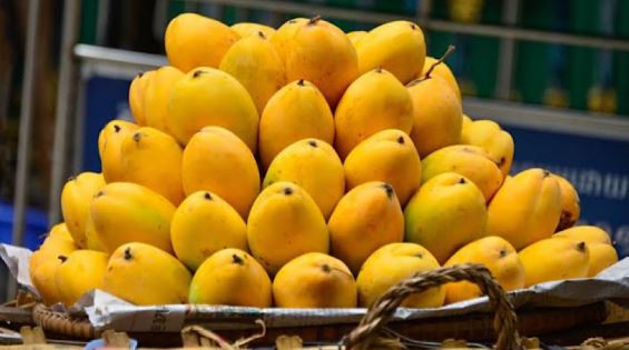 113 Pakistani mangoes in the spotlight at Beijing event as new trade deals signed