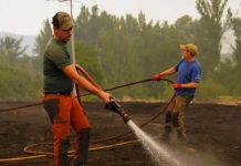 More than 430 evacuated from care homes due to Madrid blazes More than 430 evacuated from care homes due to Madrid blazes