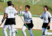 Heroes Super Hockey announces inaugural edition Heroes Super Hockey announces inaugural edition