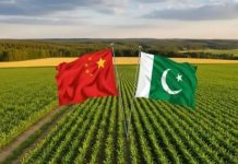 China, Pakistan institutions to advance agricultural standards China, Pakistan institutions to advance agricultural standards