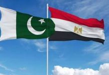 Pakistan, Egypt hold 10th annual bilateral consultations Pakistan, Egypt hold 10th annual bilateral consultations