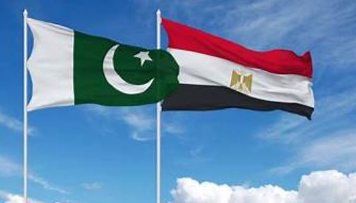 311 Pakistan, Egypt hold 10th annual bilateral consultations