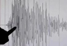 Earthquake shakes parts of Karachi A 2.9-magnitude earthquake was felt in different parts of Karachi on Friday, according to the Pakistan Meteorological Department (PMD).
