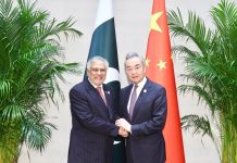 Ishaq Dar meets Chinese foreign minister