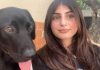 Beyond kindness: animal welfare as public responsibility