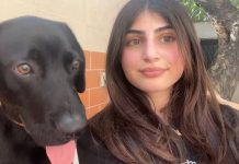 Beyond kindness: animal welfare as public responsibility