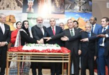National Day of Egypt